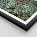Plakat w ramie 50x70 - Zielona Uroda Sukulentów - sukulenty, zielone liście - rama czarna