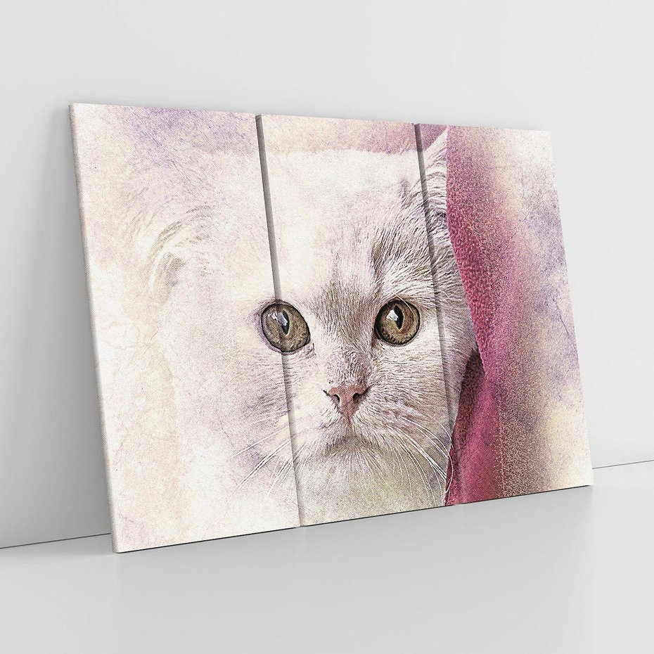 Obraz na płótnie 120x80 - Kot w abstrakcyjnym świetle - kot, abstrakcja