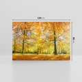 Obraz na płótnie 120x80 - Jesień w Lesie: Urok Lasu - jesień, las