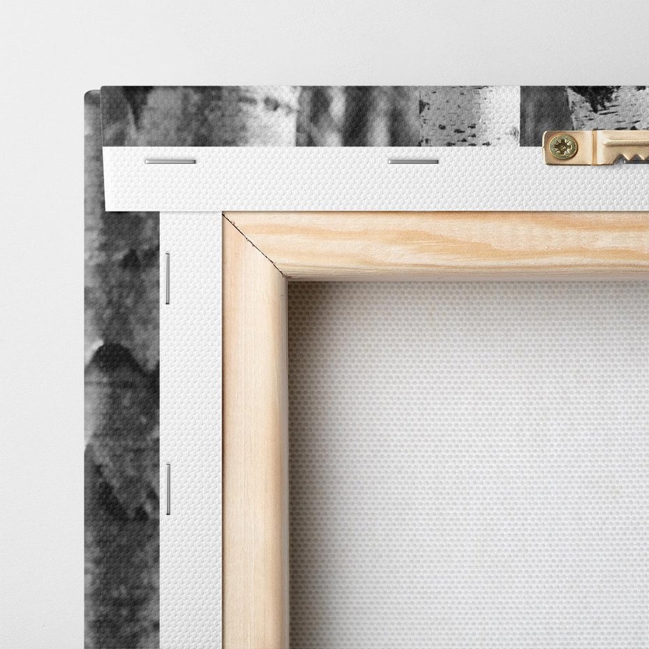 Obraz na płótnie 80x80 - Kontrast Monochromatyczny - brzozy, czarno