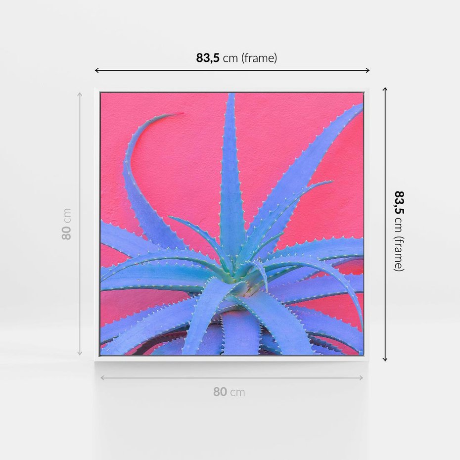 Obraz w ramie 80x80 - Piękno Pustyni - kaktusy, liście - rama biała