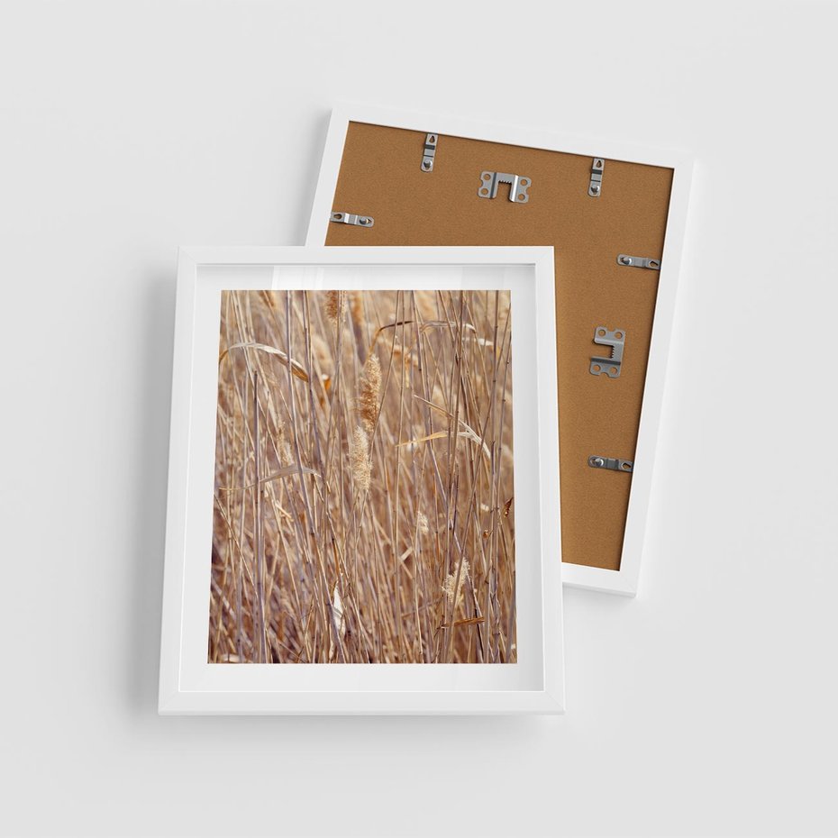 Plakat w ramie 40x50 - Mistrzowskie suche trawy - suche, trawy - rama biała