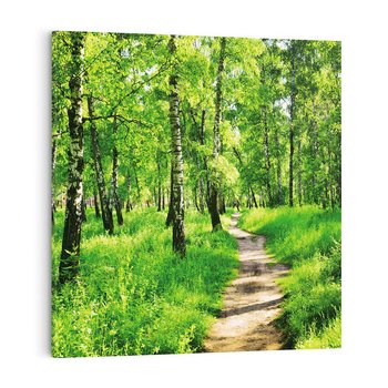 Obraz na płótnie 60x60 - odkryj piękno drzew - las, drzewa