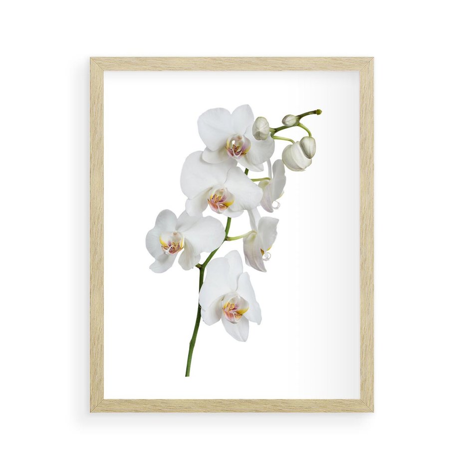 Plakat w ramie 40x50 - Ekskluzywny Relaks - storczyk, spa - rama drewno