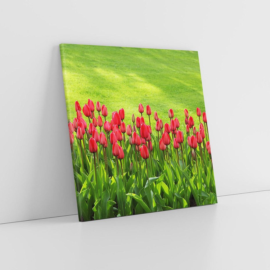 Obraz na płótnie 40x40 - Tulipanowy raj - kwiat, kwiaty