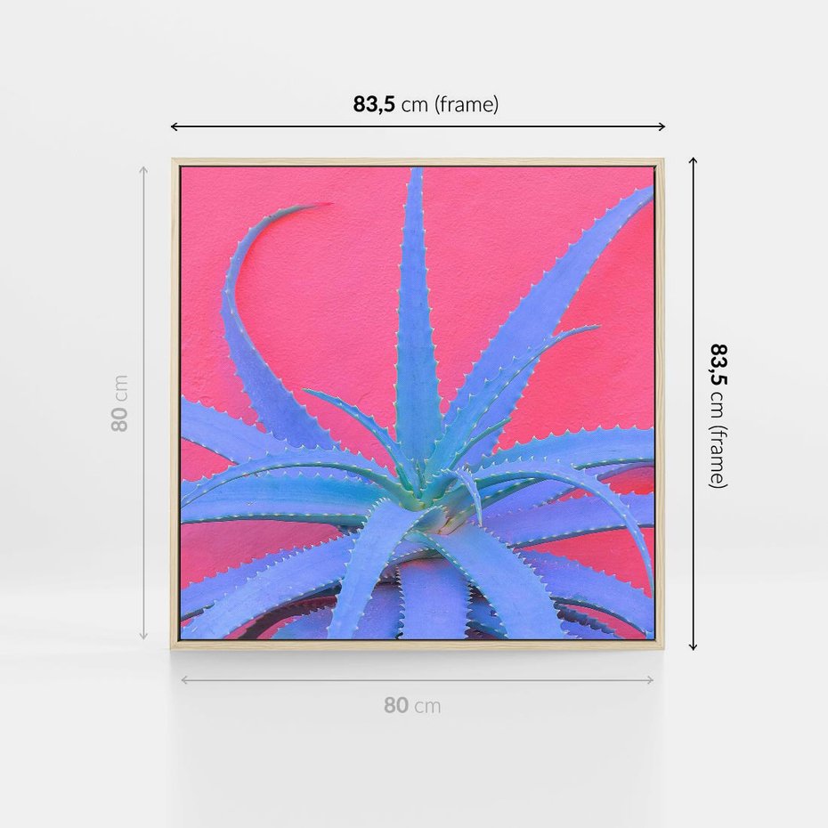 Obraz w ramie 80x80 - Piękno Pustyni - kaktusy, liście - rama drewno