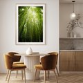 Plakat w ramie 50x70 - Siła Natury - drzewa, las - rama drewno
