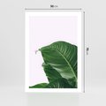 Plakat bez ramy 50x70 - Zielone liście monstery - liście, monstera