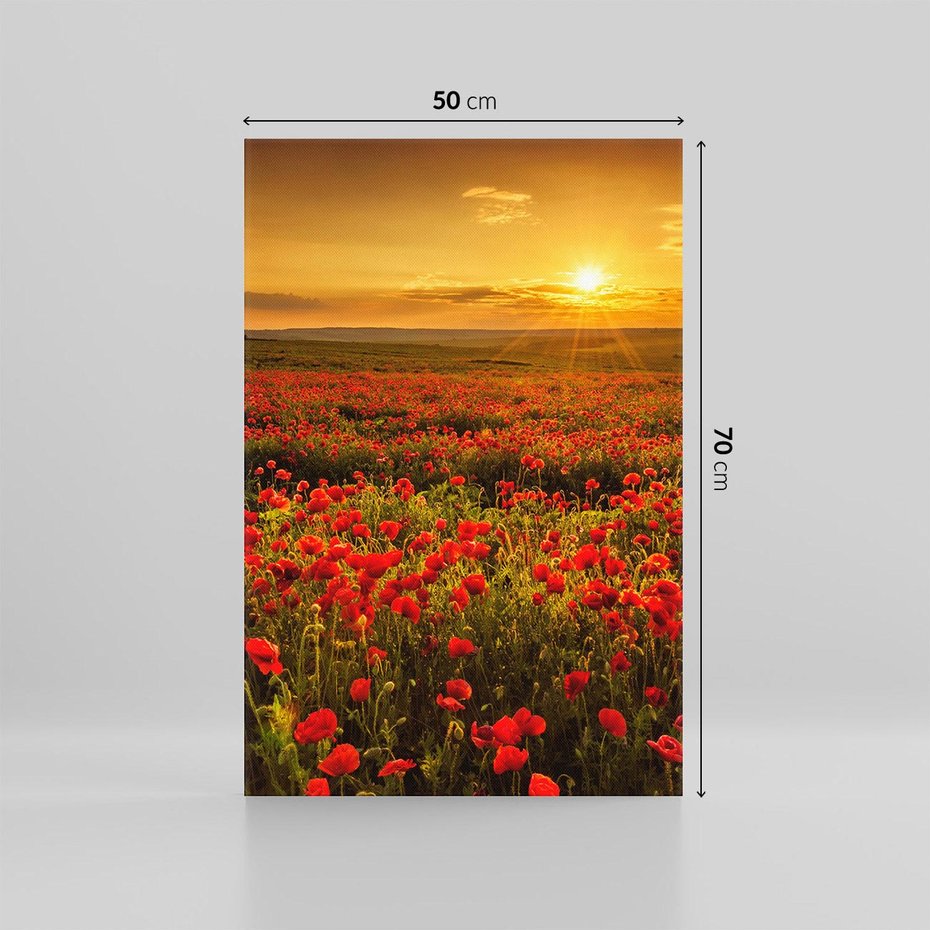 Obraz na płótnie 50x70 - Makowe uczucia - maki, kwiaty