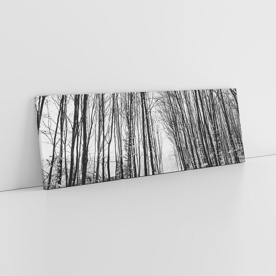 Obraz na płótnie 120x40 - Spadające Liście - czarno białe zdjecie, park