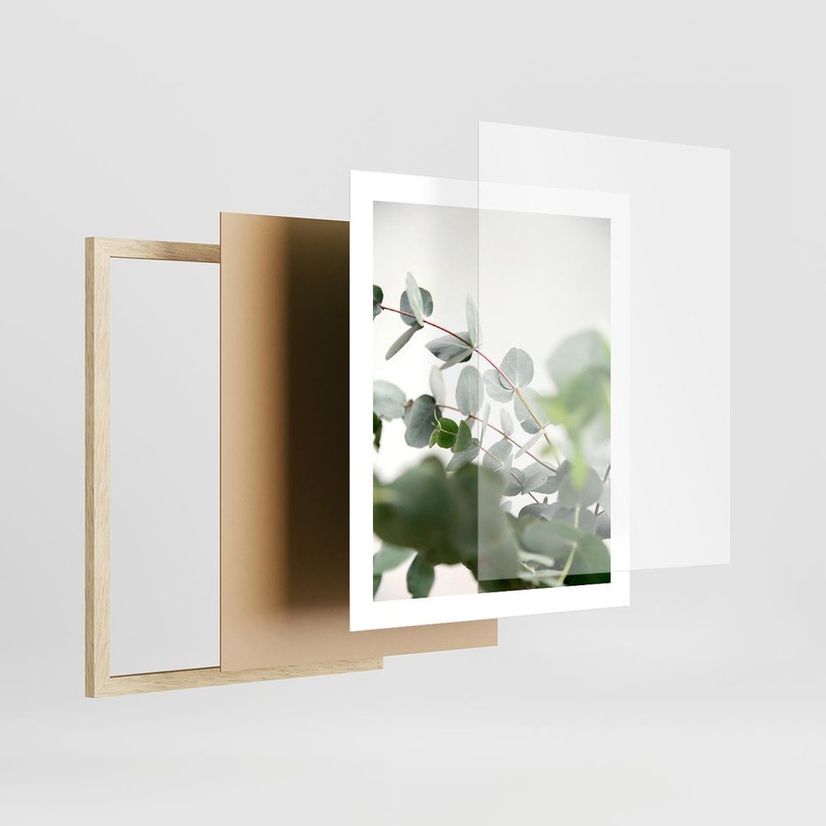 Plakat w ramie 40x50 - Zielony Świat Eukaliptusa - eukaliptus, fotografia - rama drewno