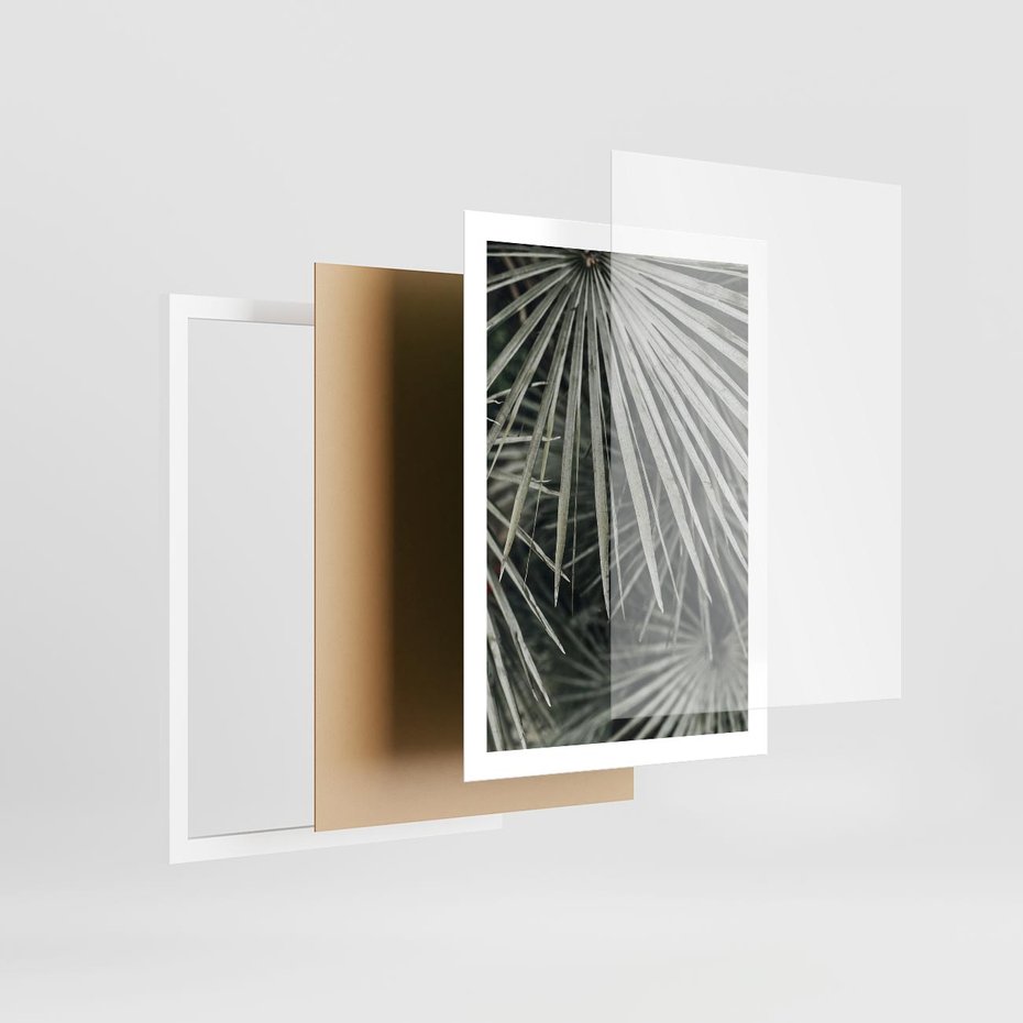 Plakat w ramie 50x70 - Ujęcie Tropikalnej Natury - palmy, liście palmy - rama biała