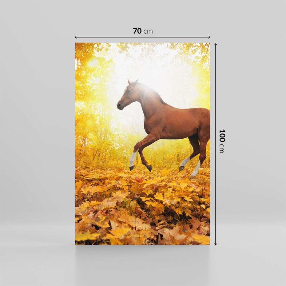 Obraz na płótnie 70x100 - Moc konia w zachodzie słońca - koń, słońce