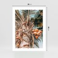 Plakat bez ramy 30x40 - Tropikalna Palma: Fotografia z Kokosami - palma kokosowa, kokosy