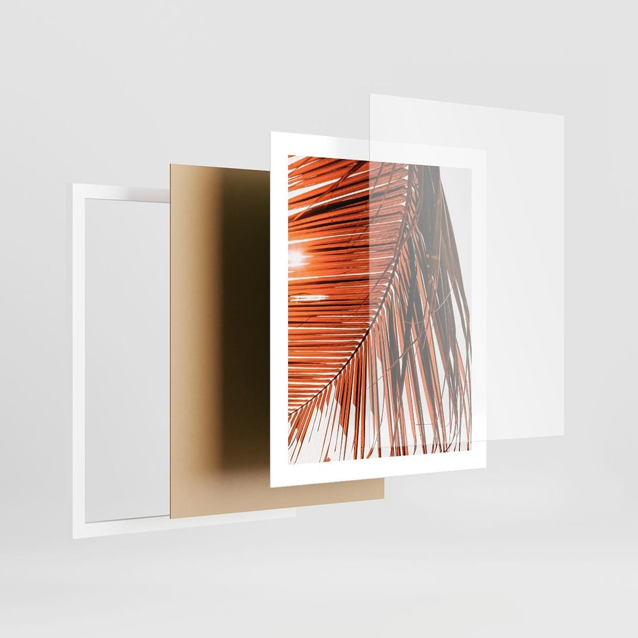 Plakat w ramie 40x50 - Słońce na Palmie - palma, promienie słońca - rama biała