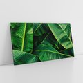 Obraz na płótnie 120x60 - Zaklęta roślinna ekspresja - liście bananowca, gęsto ułożone