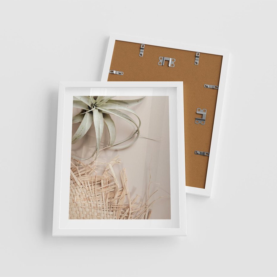 Plakat w ramie 40x50 - Aloes w Stylu Boho - kompozycja, wiklina - rama biała
