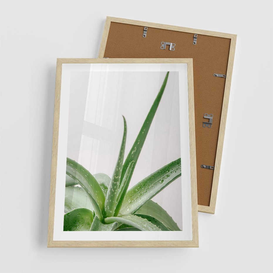 Plakat w ramie 50x70 - Zielone Piękno - aloes, liście - rama drewno