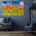 Obraz na płótnie 120x80 - Delikatne maki na kolorowej łące - mak, maki
