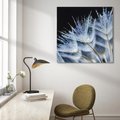Obraz na płótnie 80x80 - Makro piękno dmuchawców - makro, dmuchawce