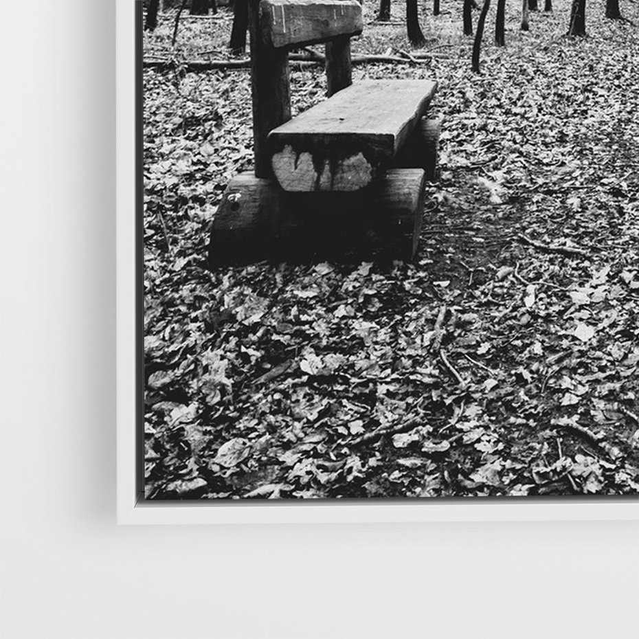 Obraz w ramie 50x70 - Spadające Liście - czarno białe zdjecie, park - rama biała