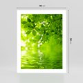 Plakat bez ramy 40x50 - Liście w Wodzie - liście, woda