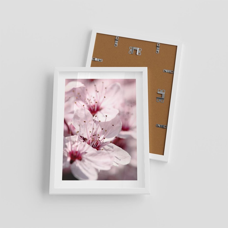 Plakat w ramie 30x40 - Kwitnąca Wiśnia - kwiaty, kwitnąca - rama biała