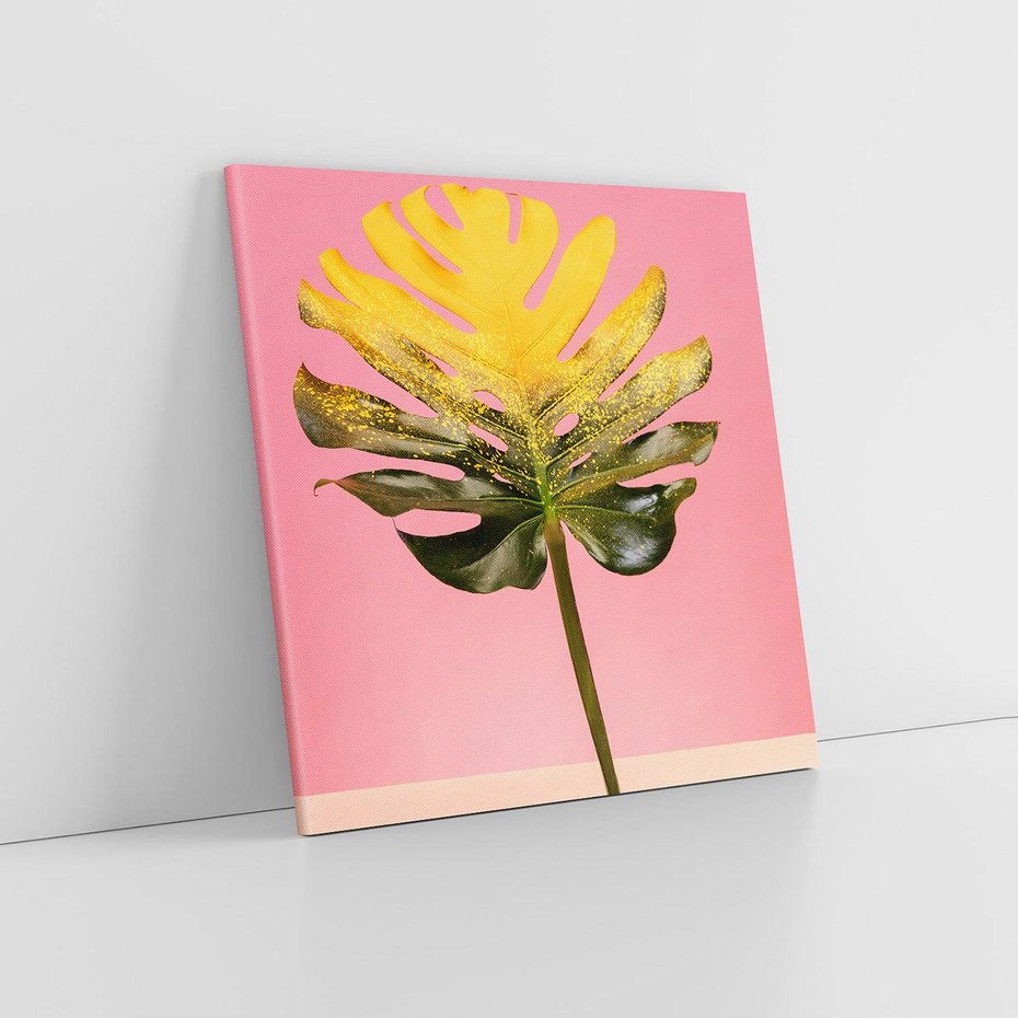 Obraz na płótnie 40x40 - Majestatyczna monstera - monstera, liść