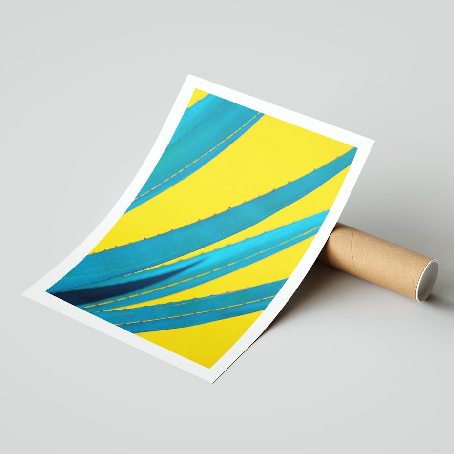 Plakat bez ramy 50x70 - Świeżość Natury - aloes, liście