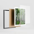 Plakat w ramie 40x50 - Magia lasu pełnego brzóz - las, brzozy - rama czarna