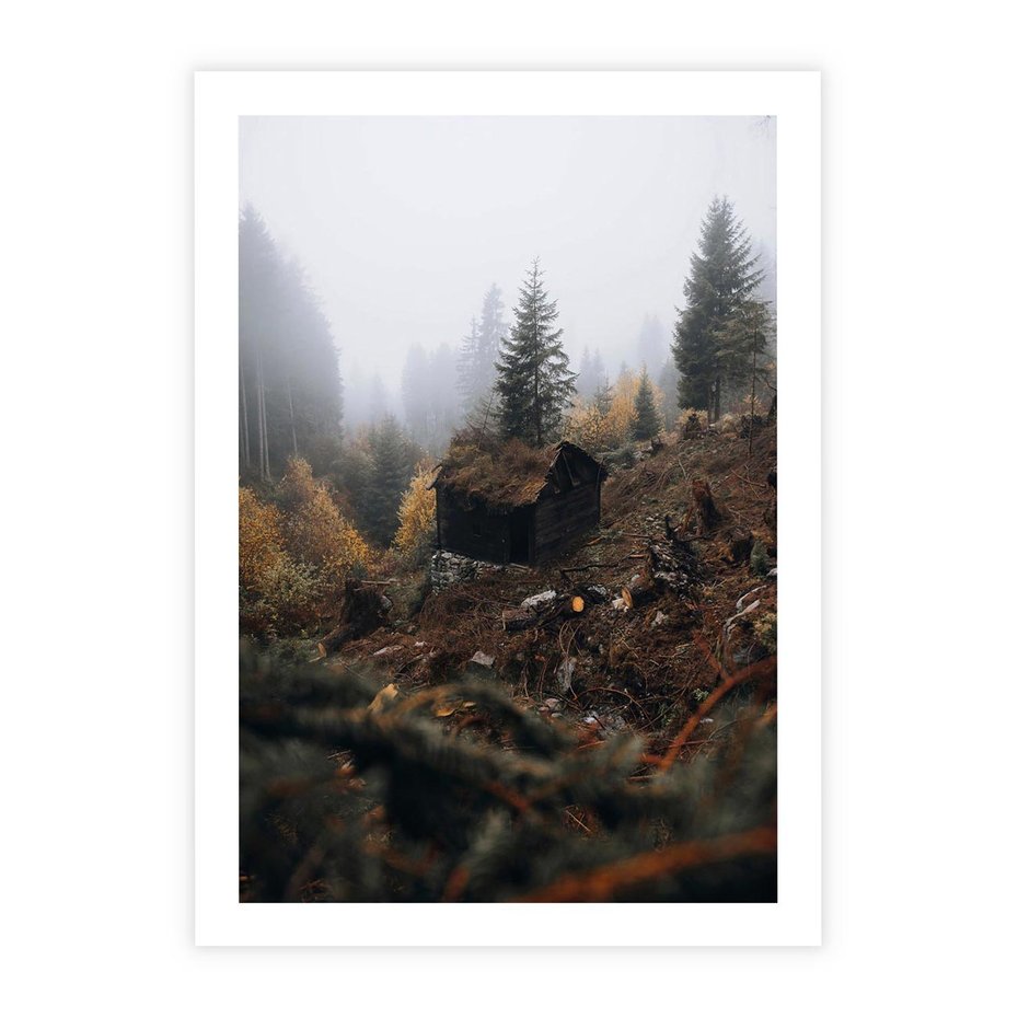 Plakat bez ramy 30x40 - Górski las - stary zniszczony domek w górach, góry