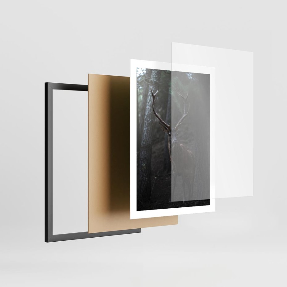 Plakat w ramie 50x70 - Jeleń wśród lasu - jeleń, las - rama czarna