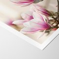 Plakat bez ramy 40x50 - Urok Magnolii - magnolie, kwiaty