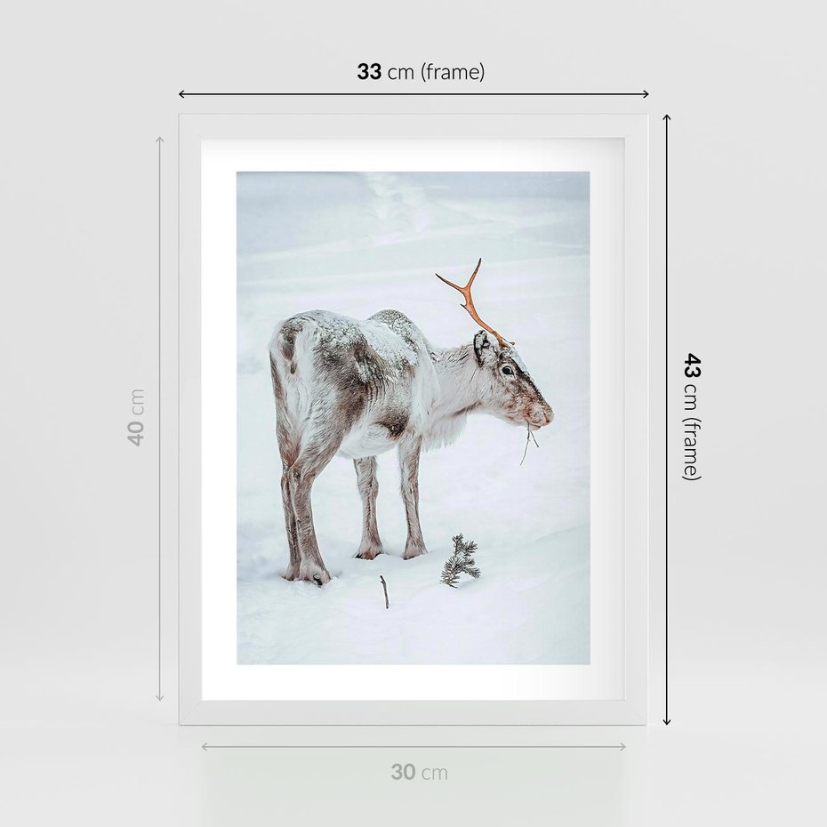 Plakat w ramie 30x40 - Magia Świąt - renifer na śniegu, śnieg - rama biała
