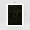Plakat bez ramy 30x40 - Ciemny las iglasty - las, iglasty