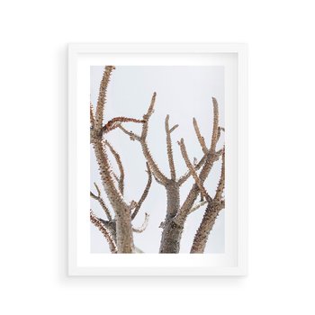 Plakat w ramie 30x40 - Pustynna Harmonia Gałęzi - pustynna roślina, suche gałęzie - rama biała