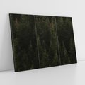 Obraz na płótnie 120x80 - Ciemny las iglasty - las, iglasty