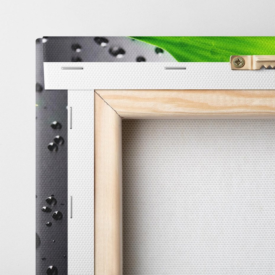 Obraz na płótnie 50x70 - Bambusowa Harmonia - bambus, liście