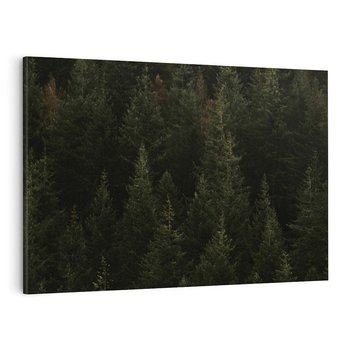 Obraz na płótnie 120x80 - Ciemny las iglasty - las, iglasty