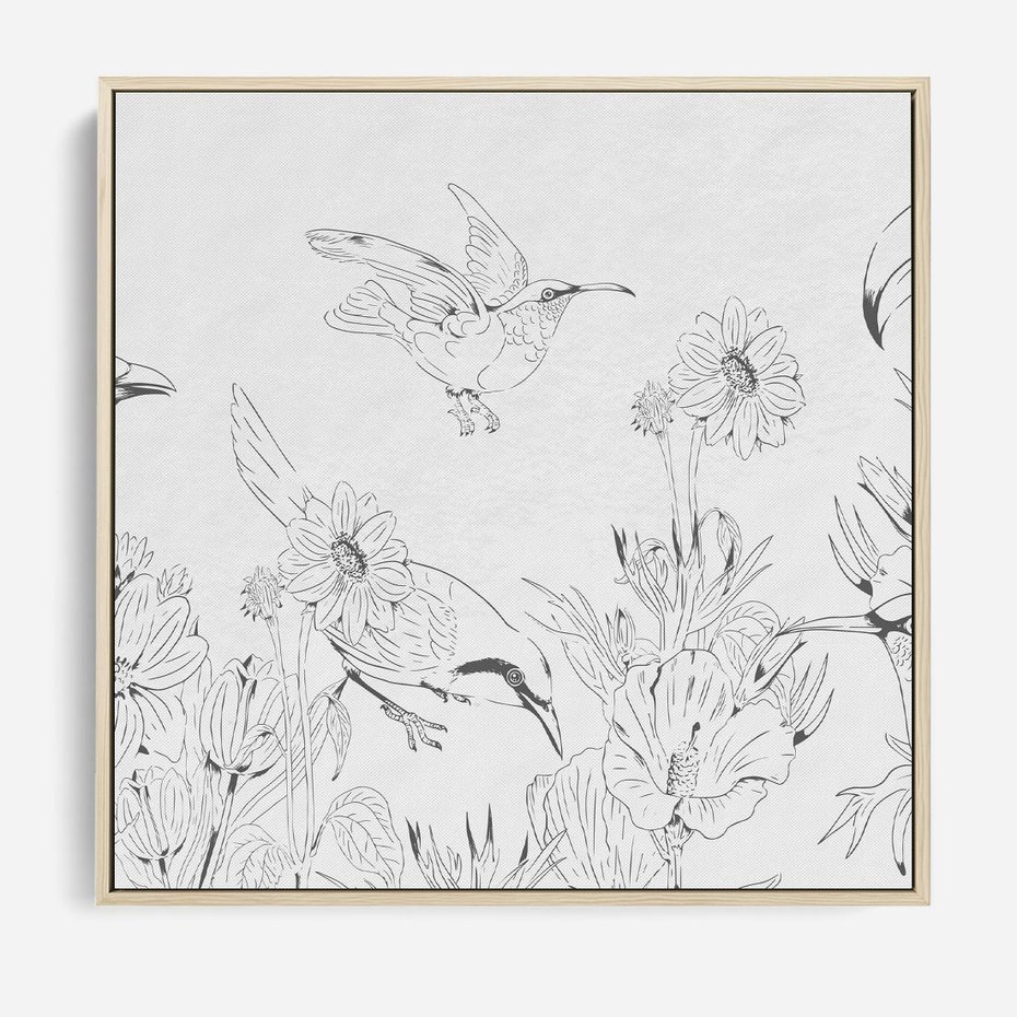 Obraz w ramie 80x80 - Tropiki w Monochromie - czarno biały szkic, tropikalne ptaki - rama drewno