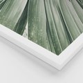 Zestaw obrazy w ramie 50x70 galeria - Liście, minimalizm, zieleń - rama biała