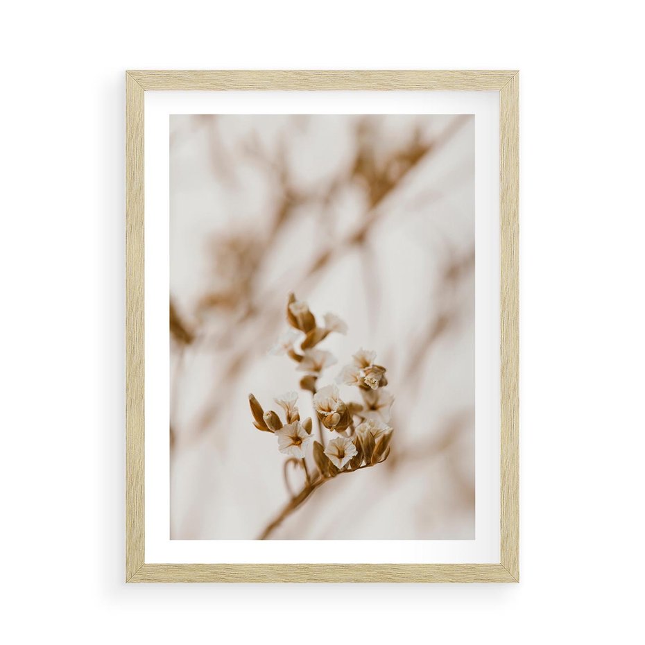 Plakat w ramie 50x70 - Kwiatowa suchość - kwiaty, susz - rama drewno