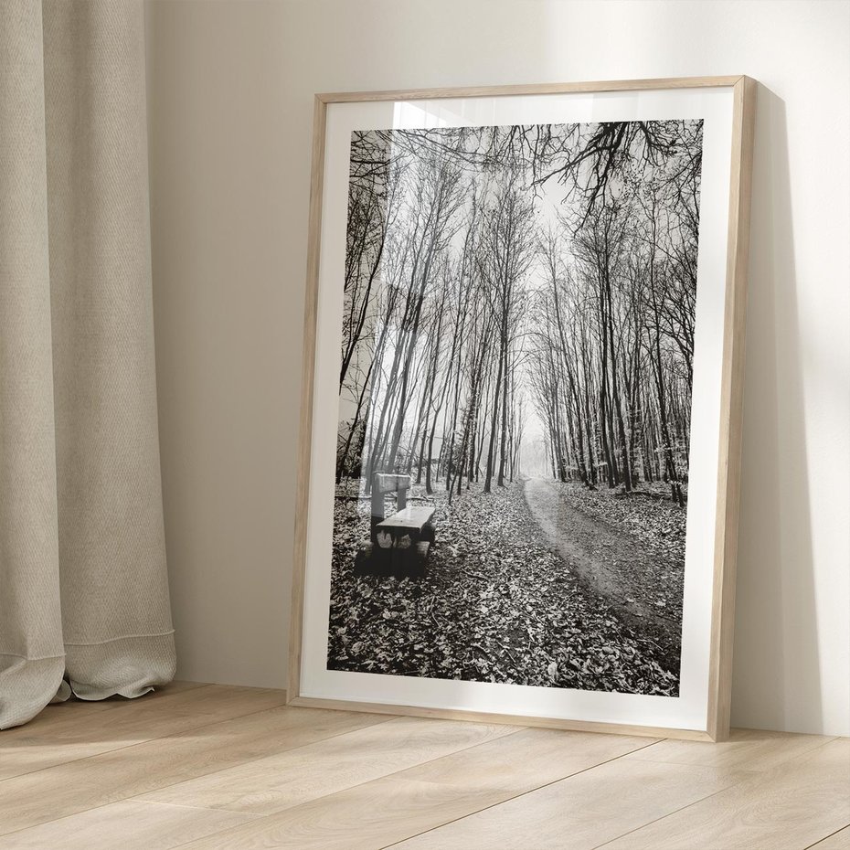 Plakat w ramie 50x70 - Spadające Liście - czarno białe zdjecie, park - rama drewno