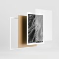Plakat w ramie 50x70 - Siła Natury - czarno biała fotografia, korzenie wielkiego drzewa - rama biała