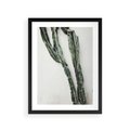 Plakat w ramie 30x40 - Zielona Roślina z Liśćmi - zielona roślina, liście - rama czarna
