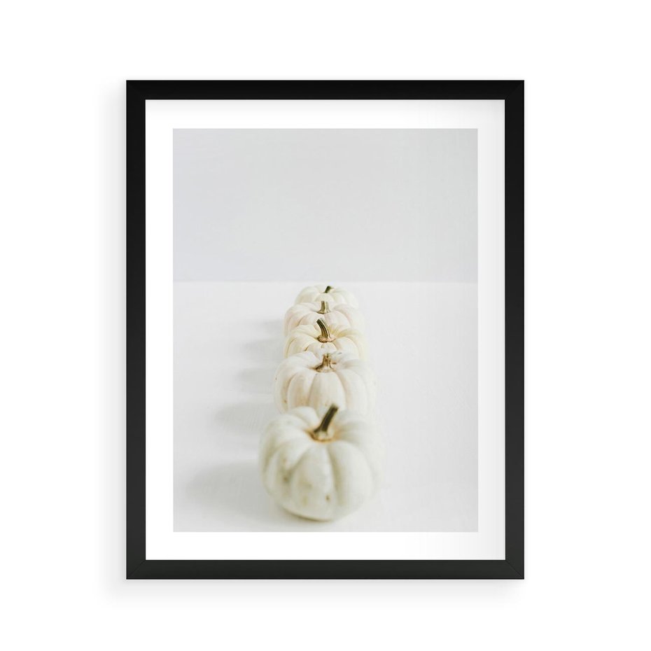 Plakat w ramie 40x50 - Białe Dynie - białe dynie, jesień - rama czarna