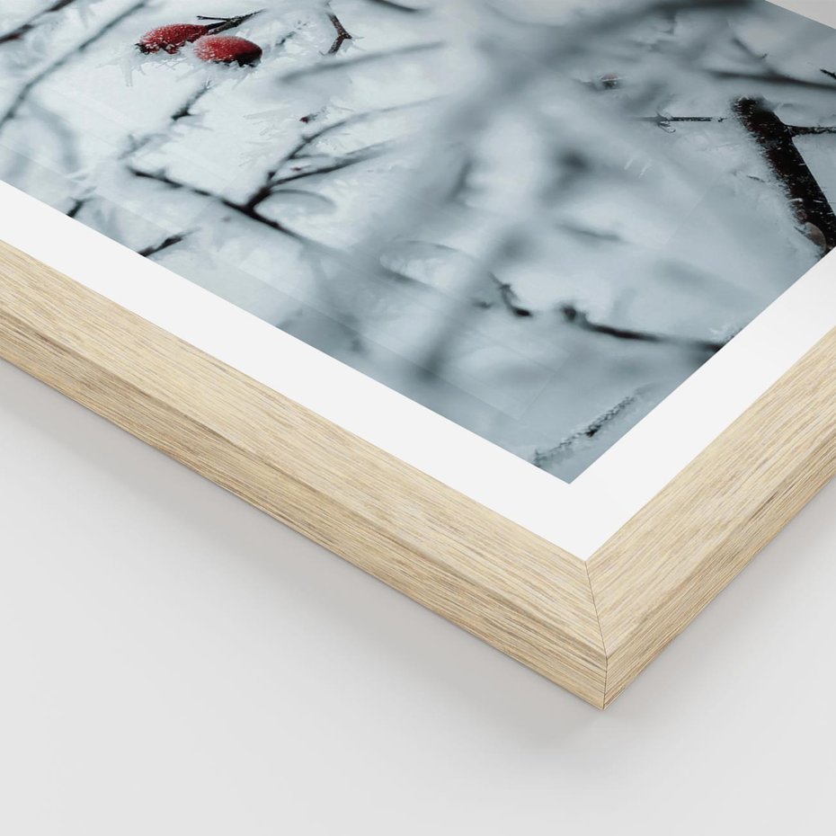 Plakat w ramie 50x70 - Zima w Detalu: Gałęzie ze Szronem i Śniegiem - śnieg, zima - rama drewno