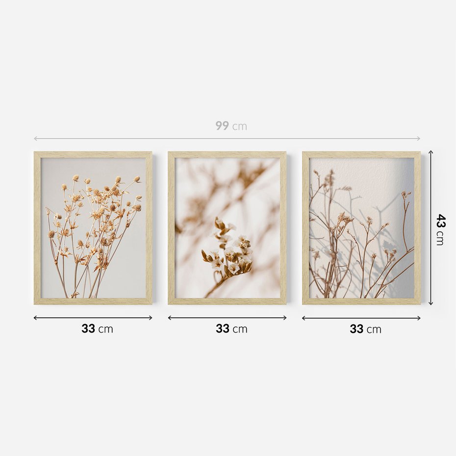 Zestaw obrazy w ramie 30x40 galeria - Suche, kwiaty, boho, trawy - rama drewno