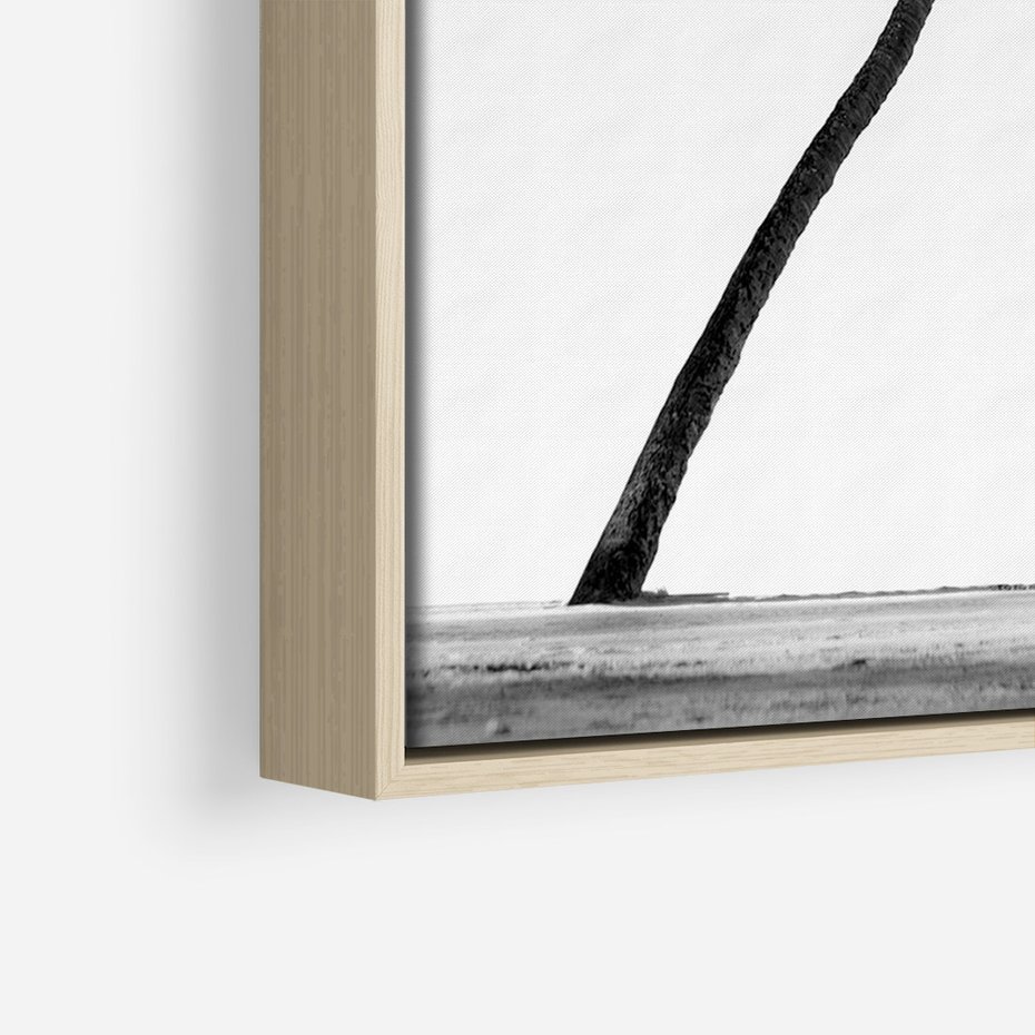 Obraz w ramie 80x120 - Samotne Palmy - czarno biała fotografia, dwie samotne palmy - rama drewno
