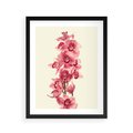 Plakat w ramie 40x50 - Orchidea w spa - relaks - orchidea, spa - rama czarna
